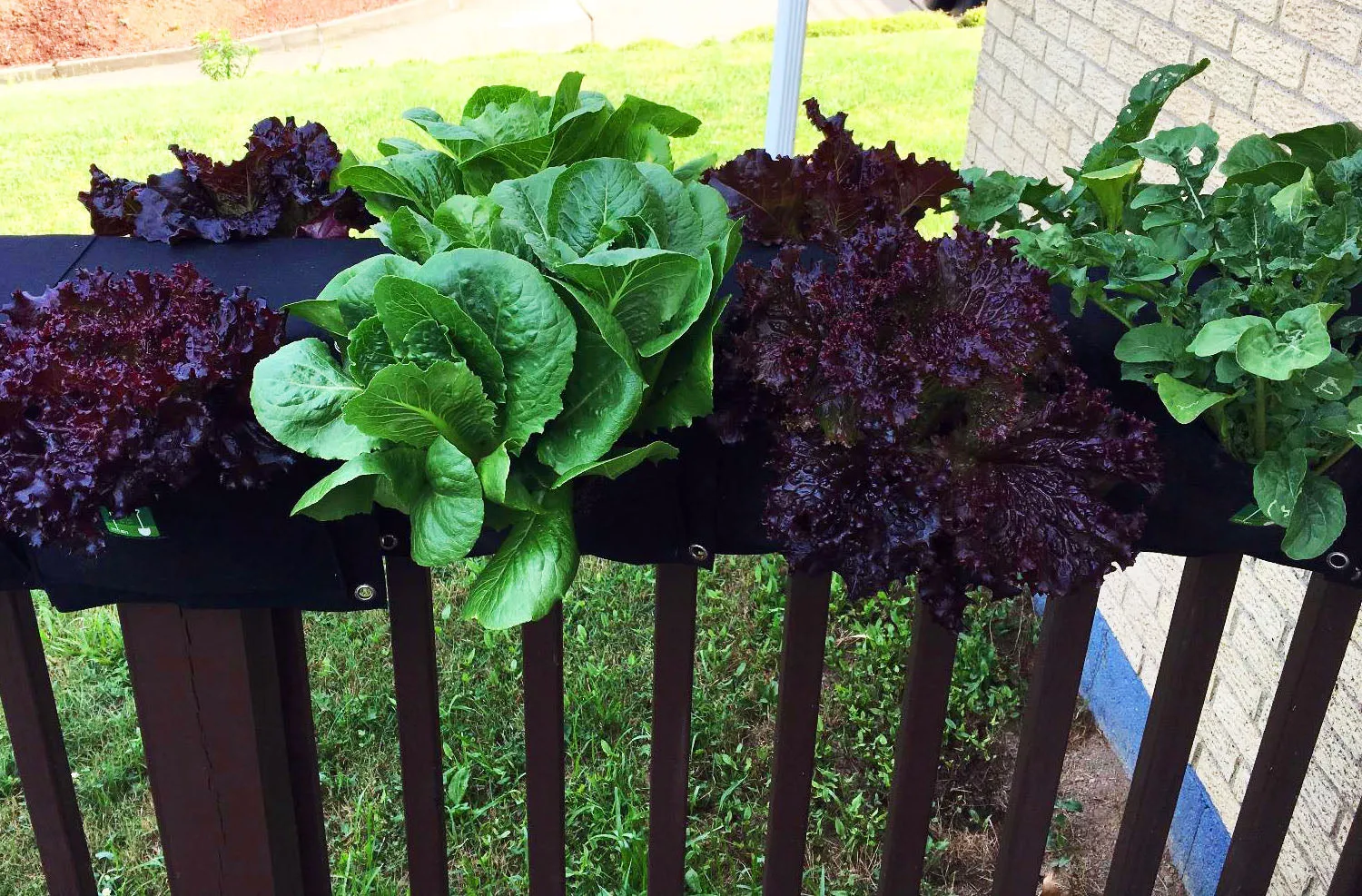2 Pocket Eco-Friendly Urban Saddlebag Planter