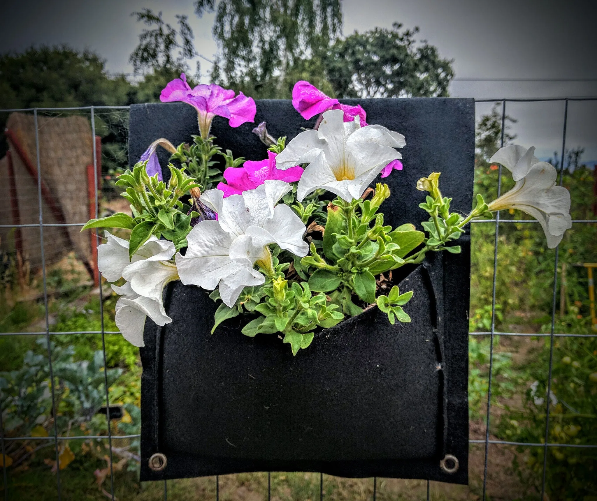 2 Pocket Eco-Friendly Urban Saddlebag Planter