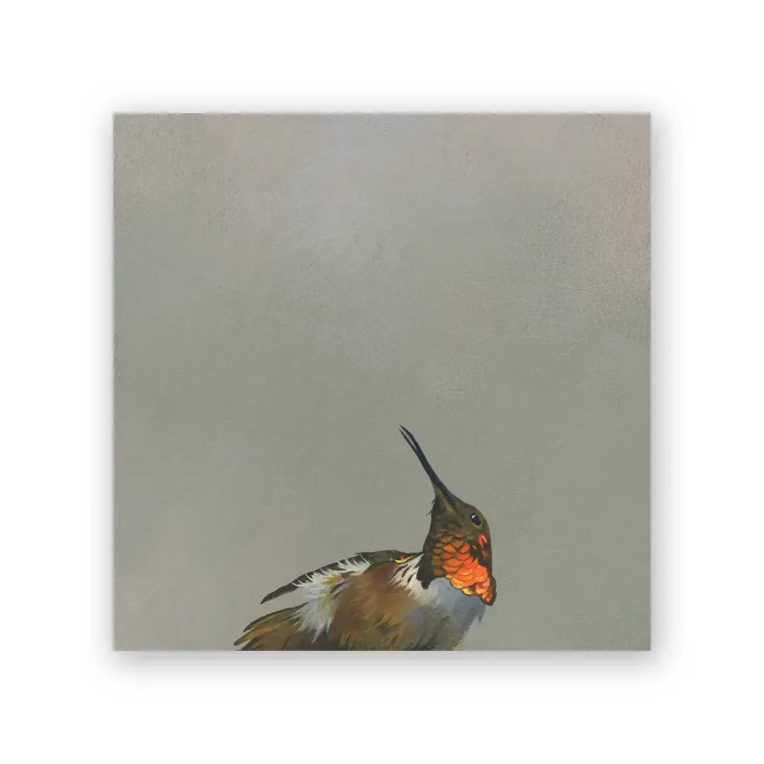 Allen's Hummingbird 6x6 Wings on Wood Panel