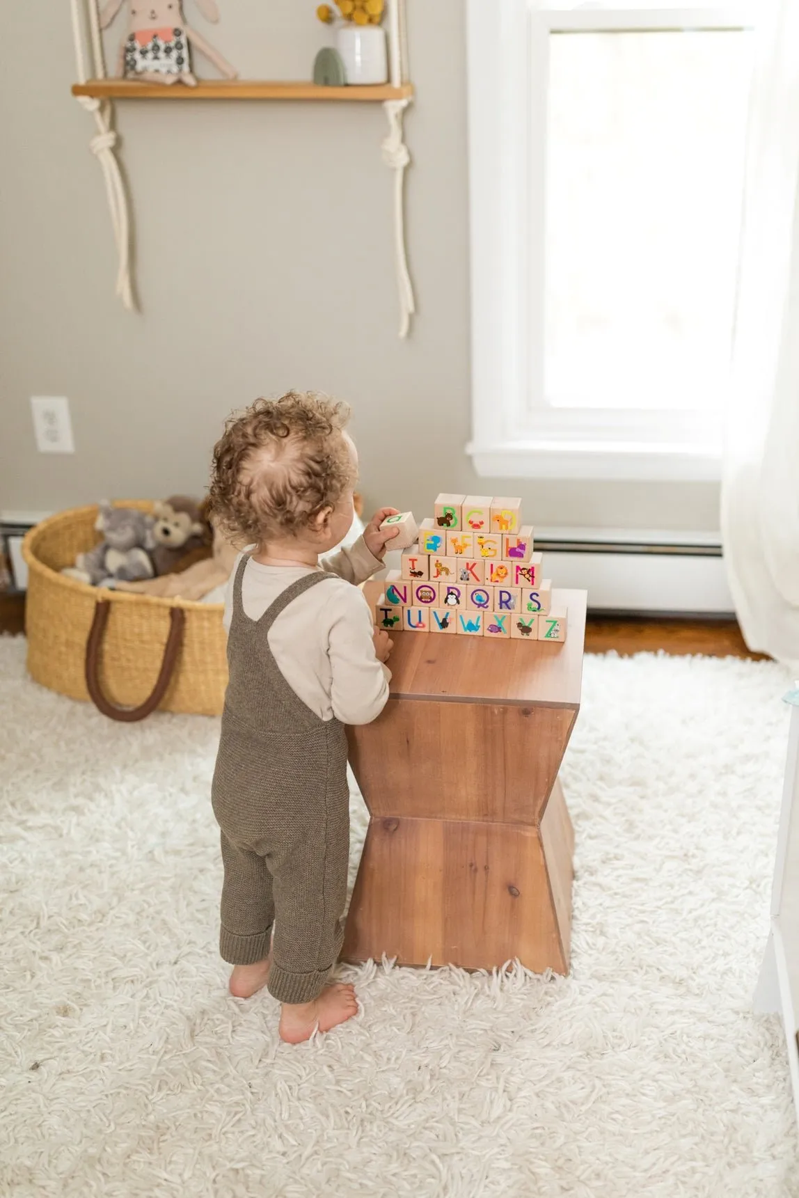 Animal ABC Blocks