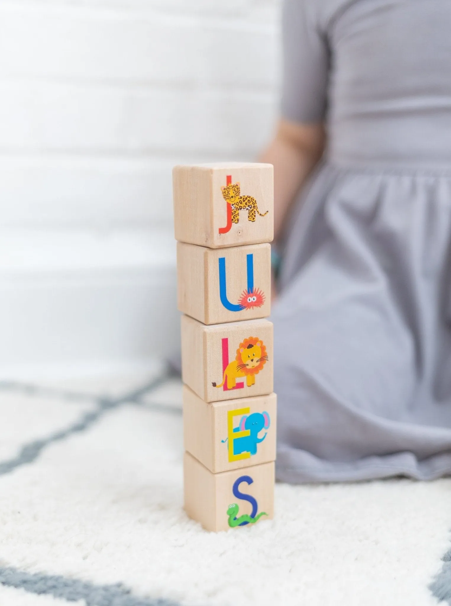 Animal ABC Blocks