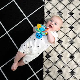 Baby Einstein Opuss Shake & Siithe Teether Toy and Rattle