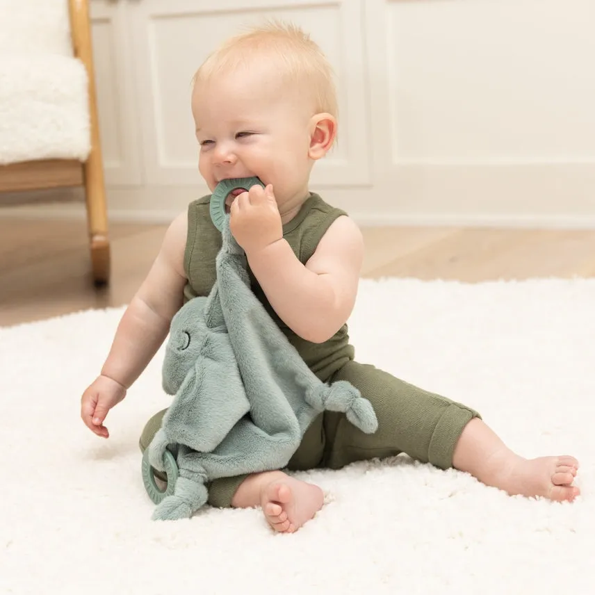 Bella Tunno Teether Buddy Freddie the Frog