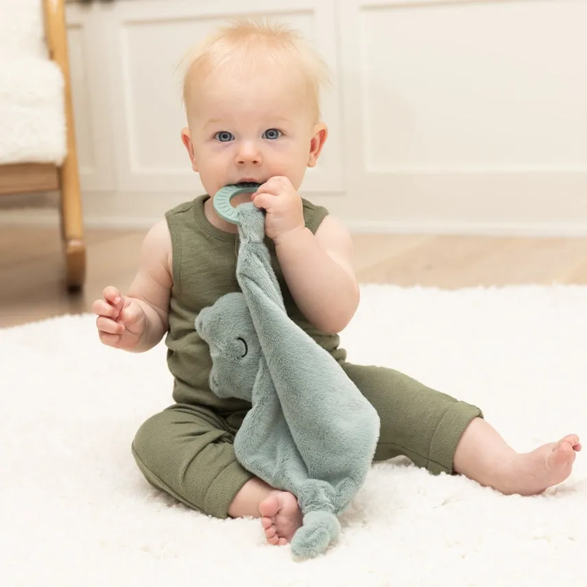 Bella Tunno Teether Buddy Freddie the Frog