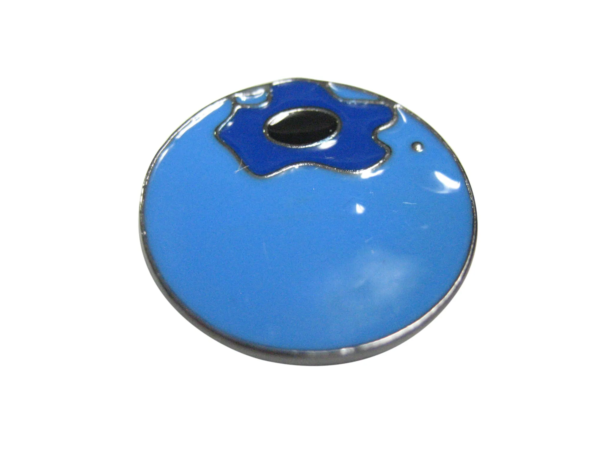 Blueberry Fruit Magnet