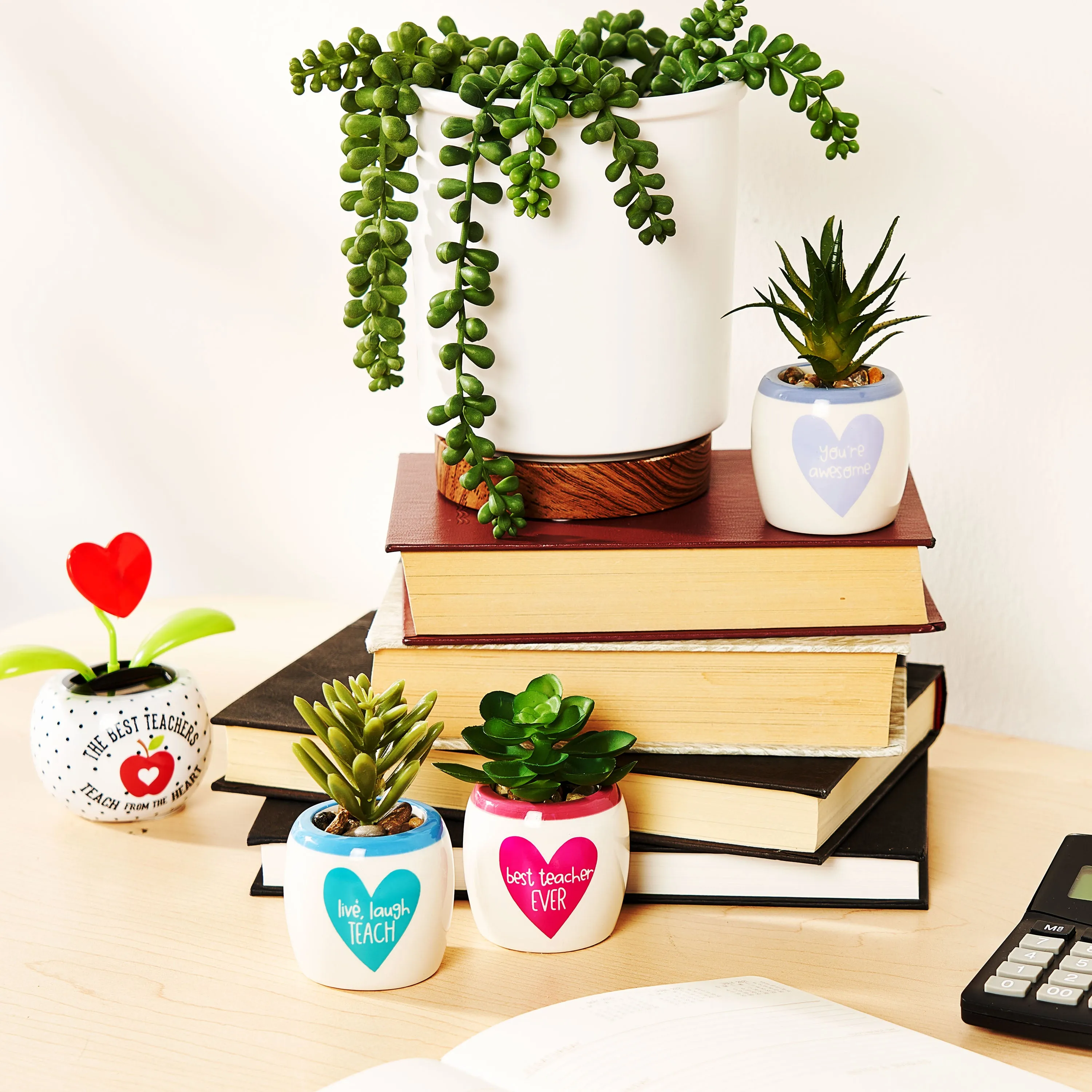 Cheep N Cheerful Valentines Day Teacher Gift Set, Tumbler, Solar Flower, Stationary Set, 10 pcs
