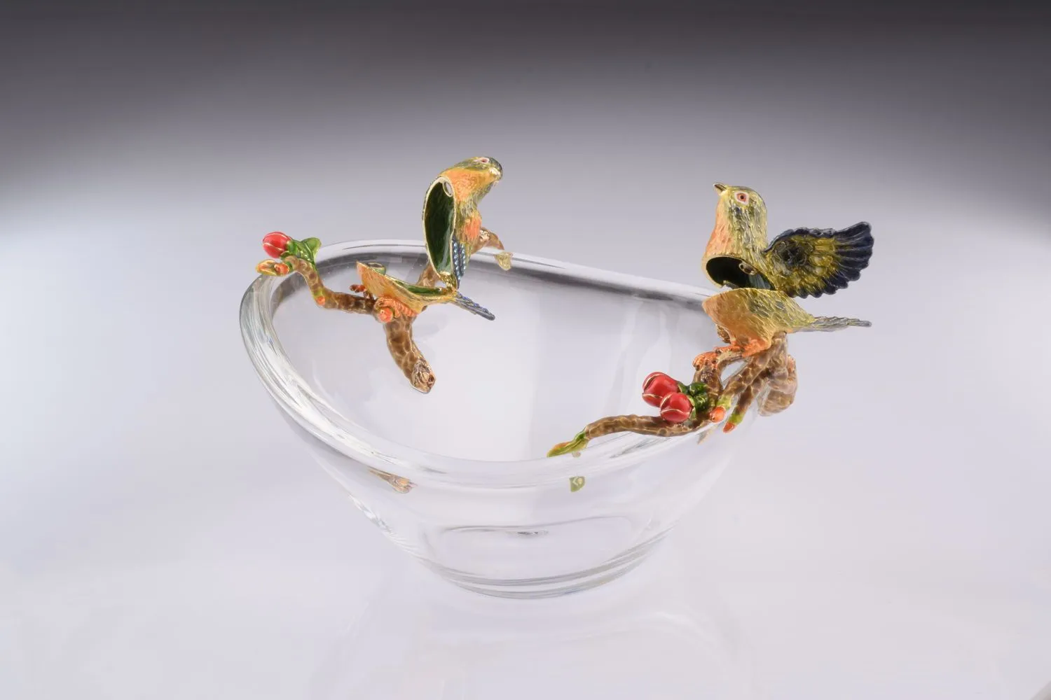 Colorful Birds on Glass Plate