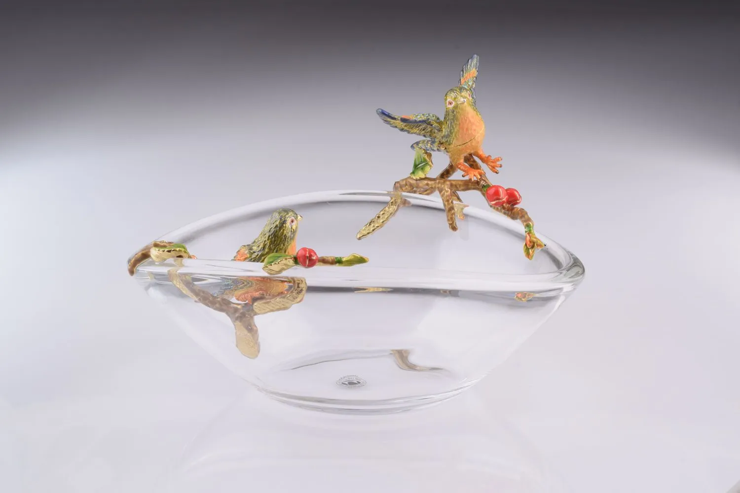 Colorful Birds on Glass Plate