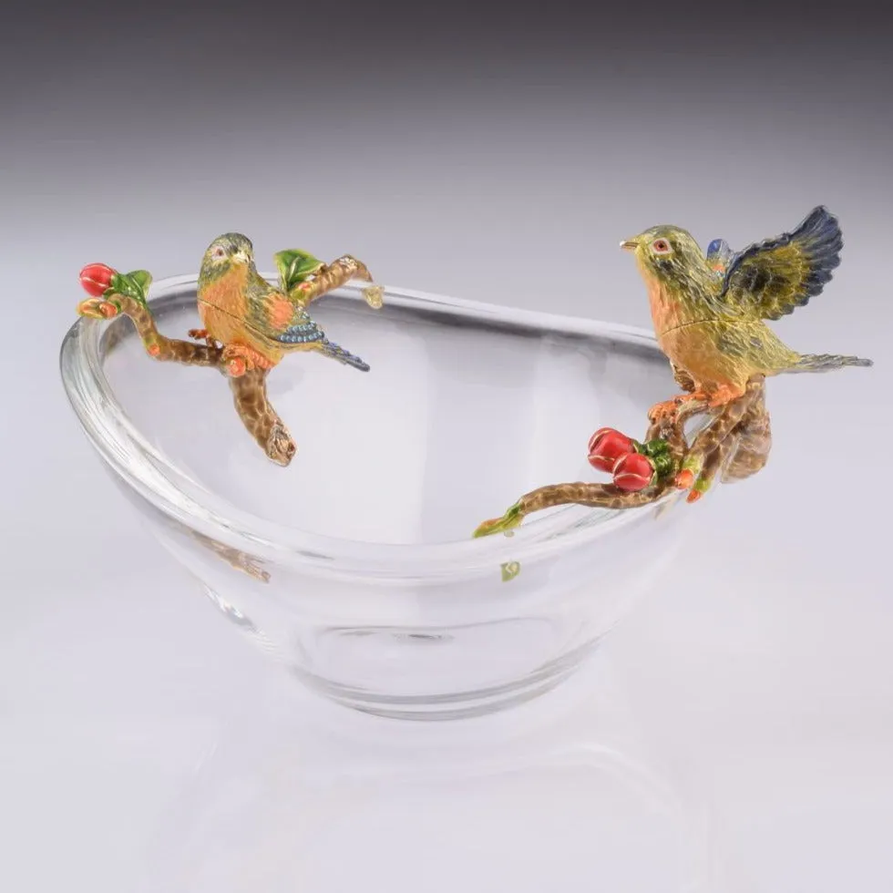 Colorful Birds on Glass Plate