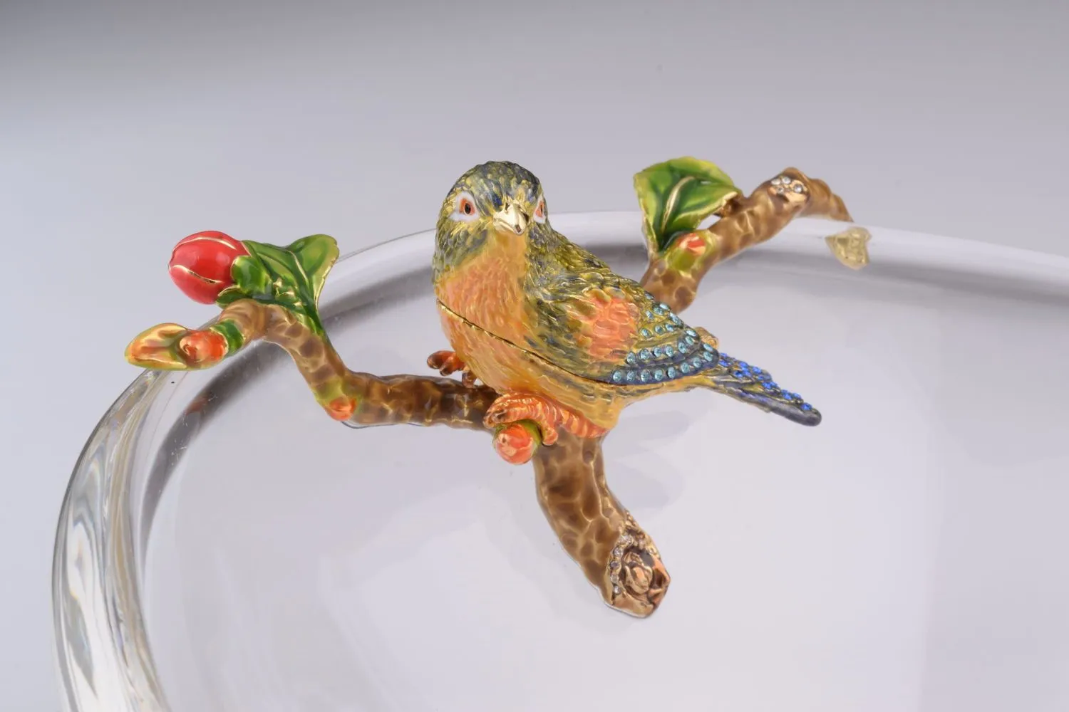 Colorful Birds on Glass Plate