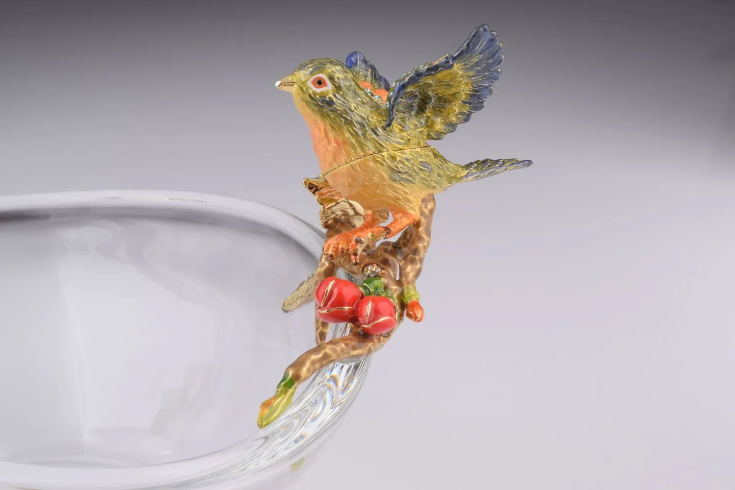 Colorful Birds on Glass Plate