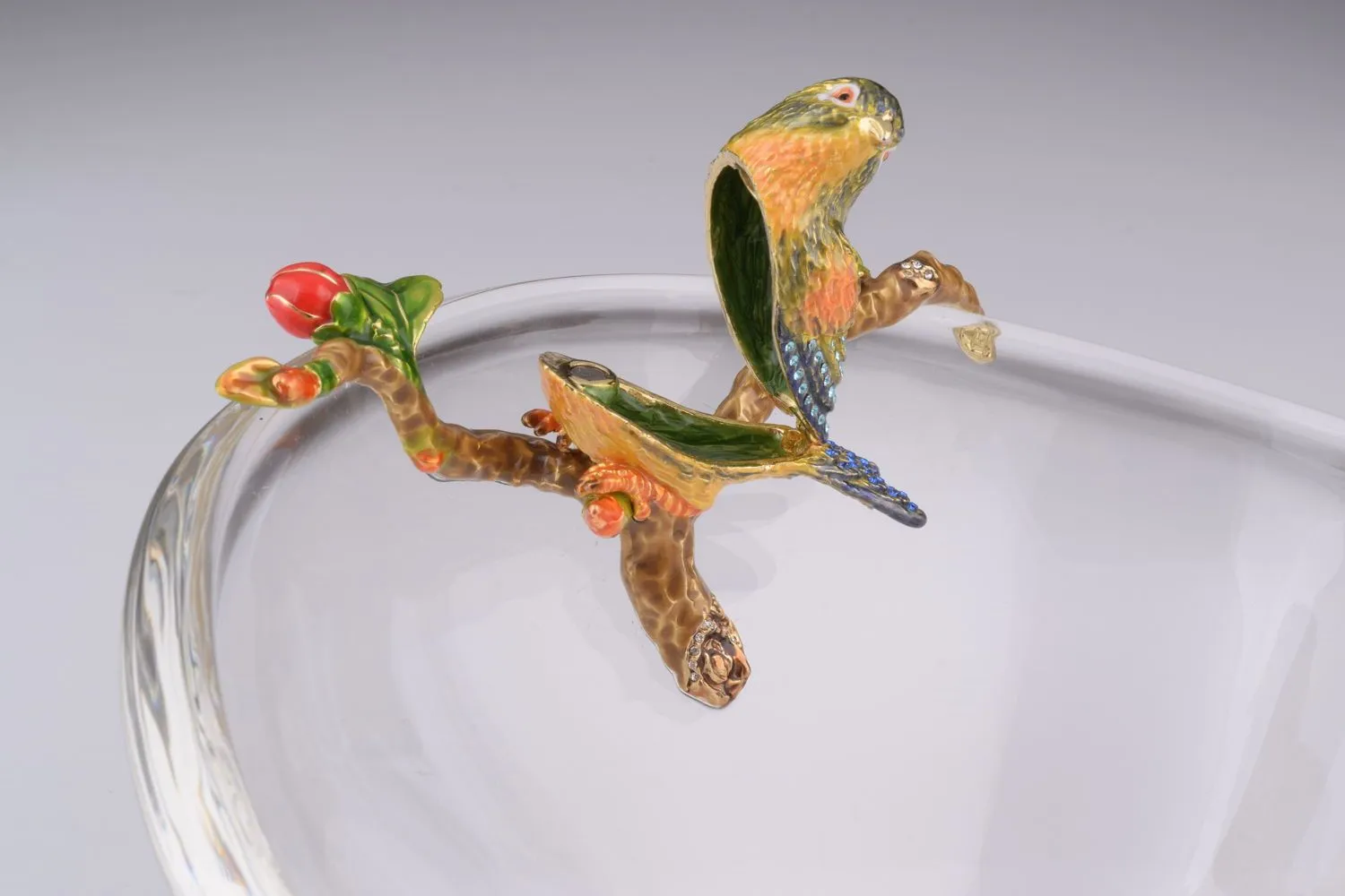 Colorful Birds on Glass Plate