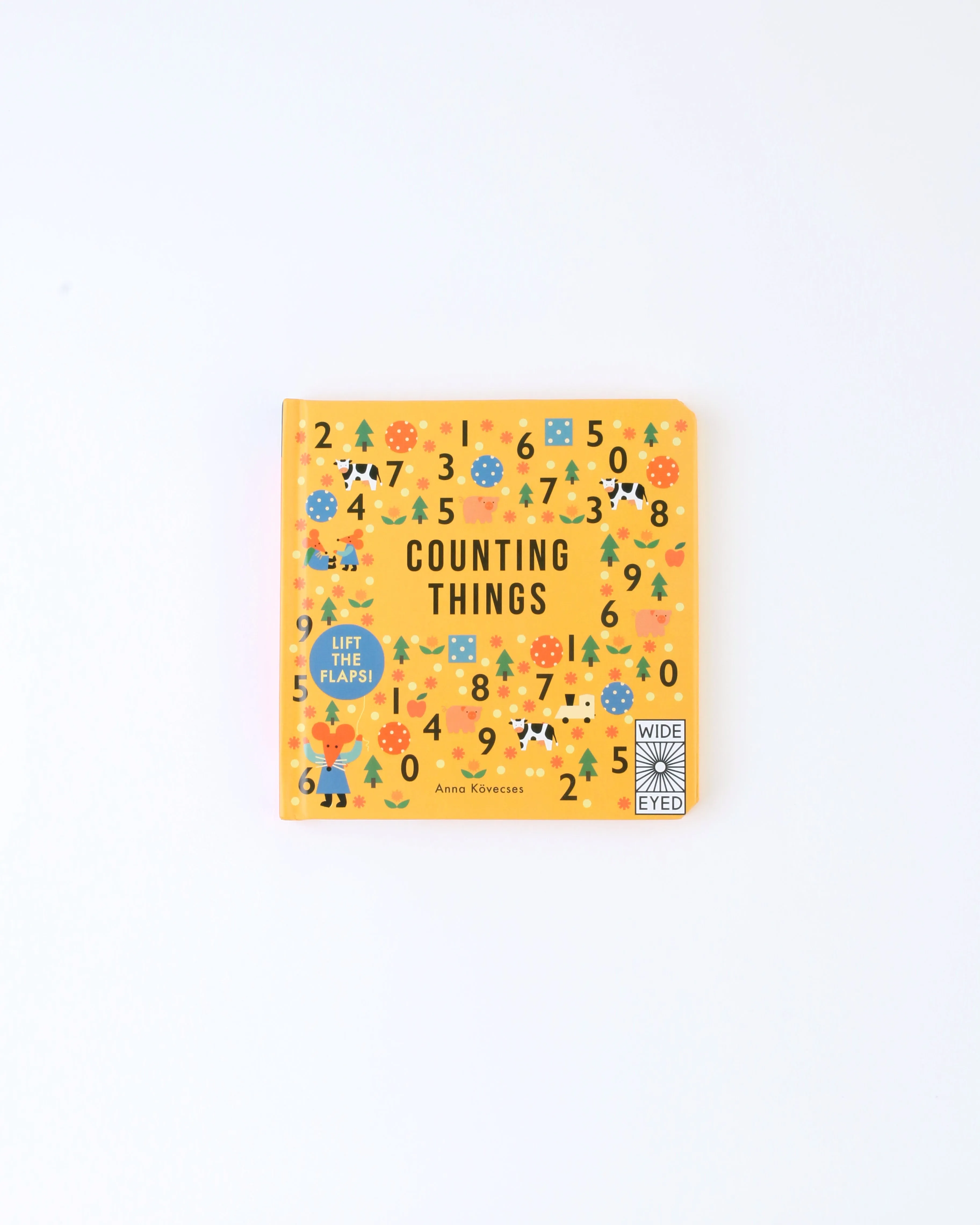 Counting Things