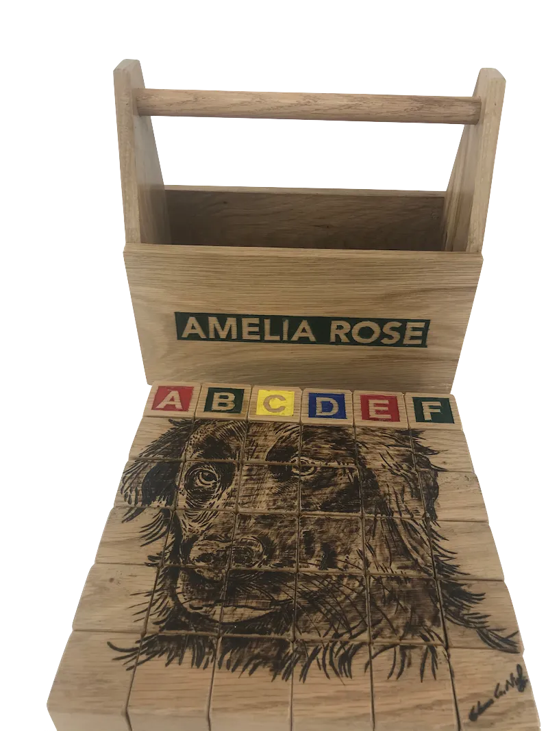 Custom Personalized Wooden ABC blocks (Base price shown)