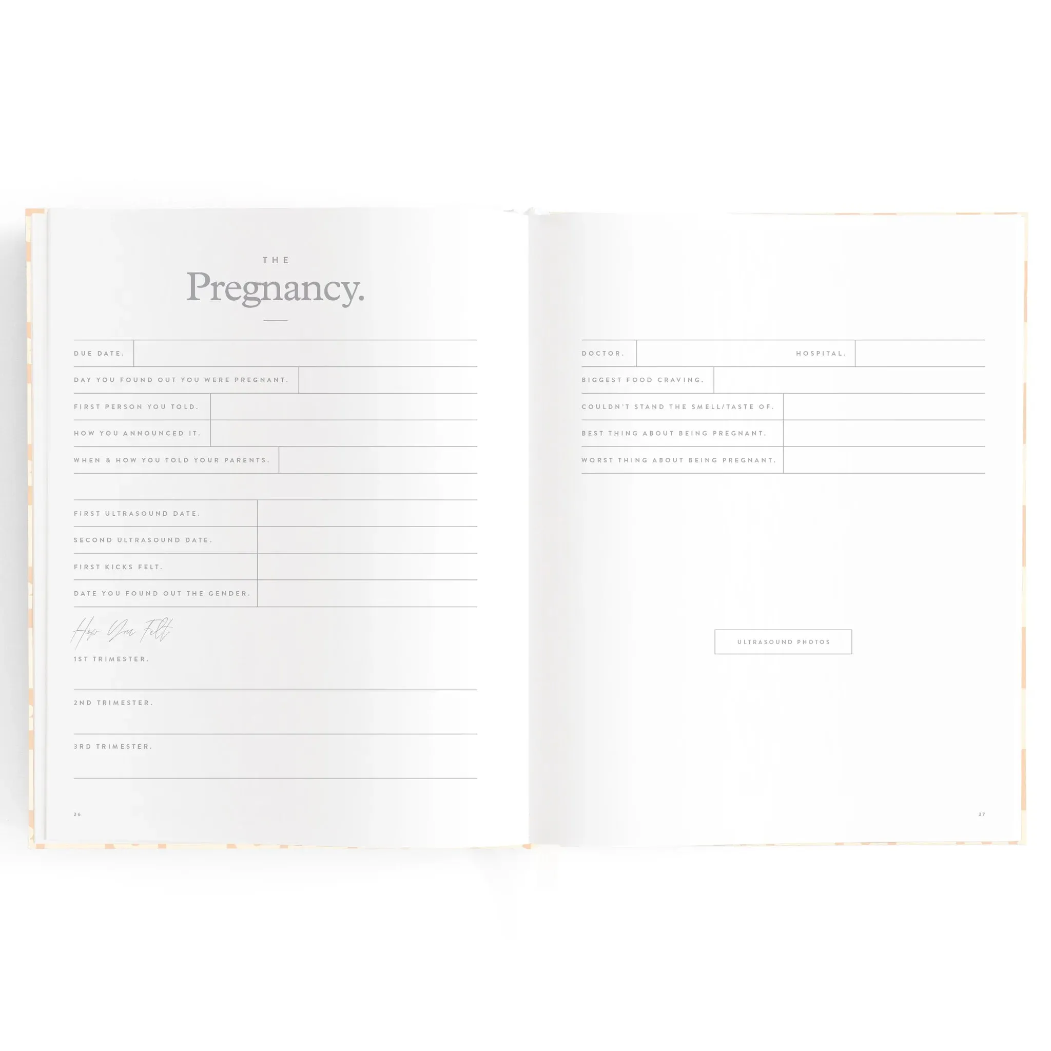 Fox & Fallow Baby Record Book - Pink Daisy Grid