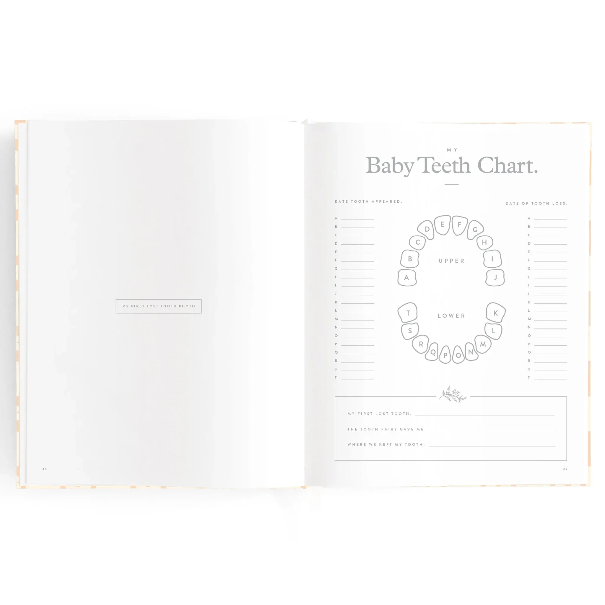 Fox & Fallow Baby Record Book - Pink Daisy Grid
