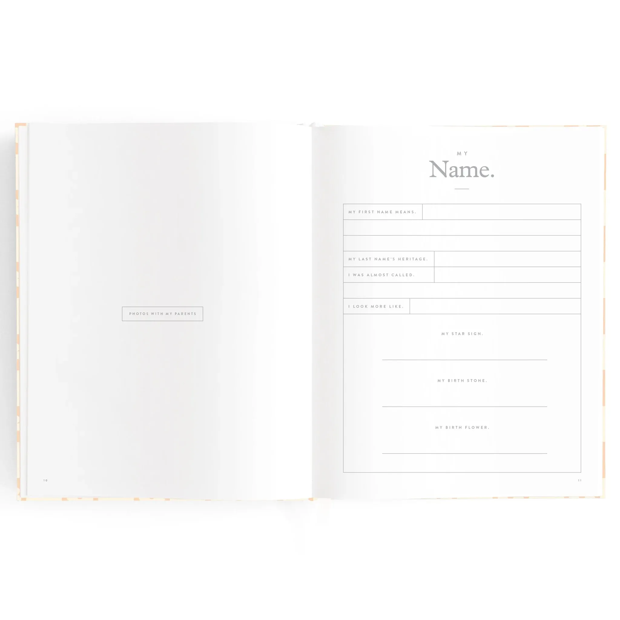 Fox & Fallow Baby Record Book - Pink Daisy Grid