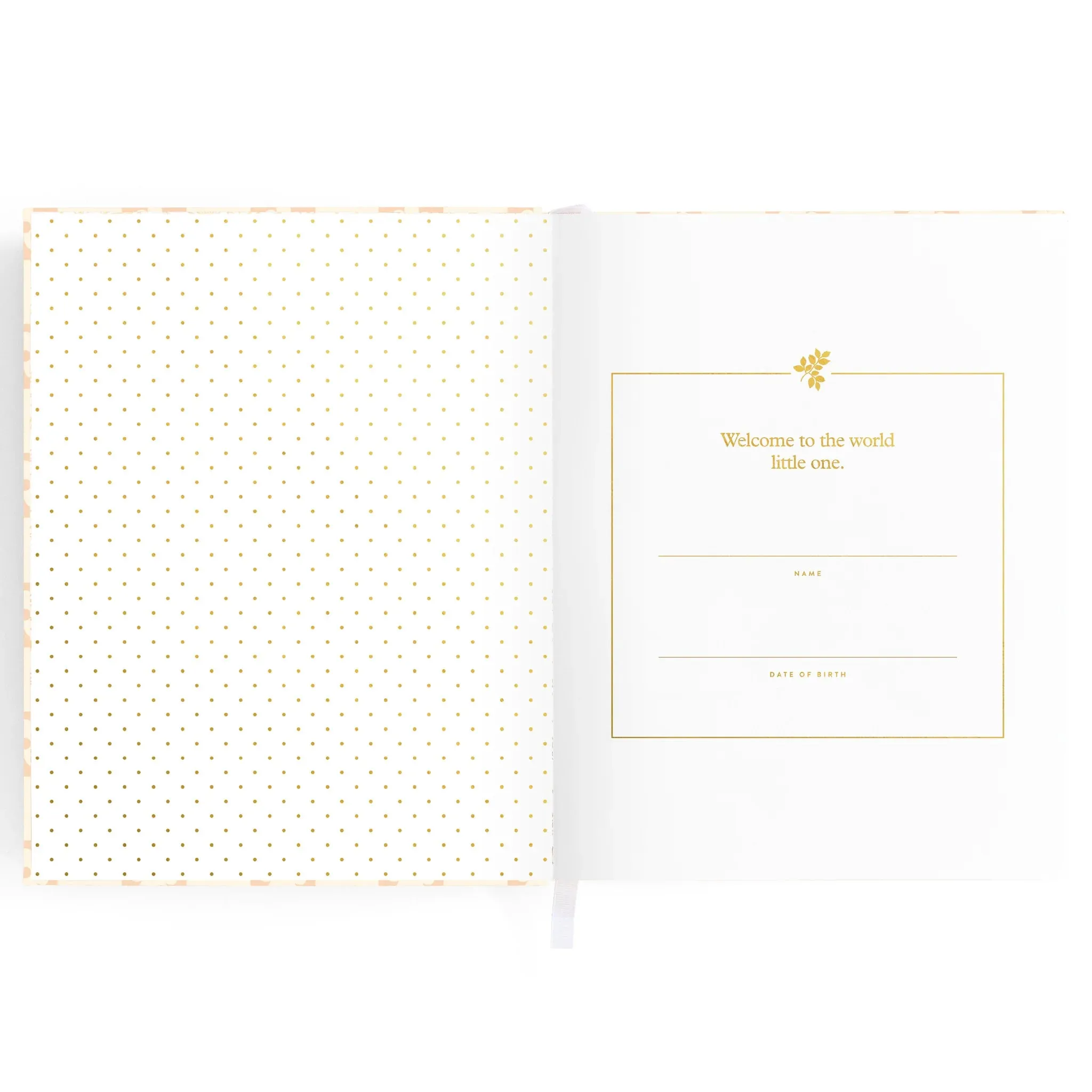 Fox & Fallow Baby Record Book - Pink Daisy Grid