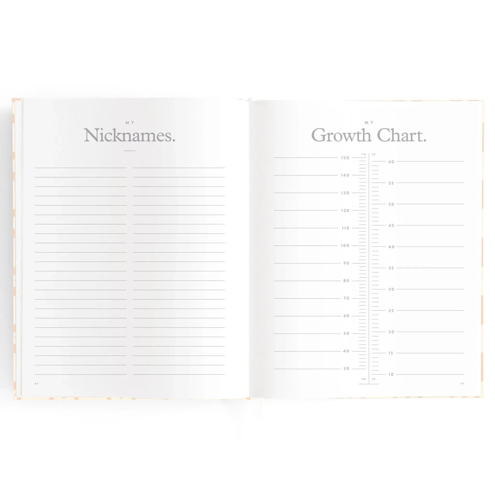 Fox & Fallow Baby Record Book - Pink Daisy Grid