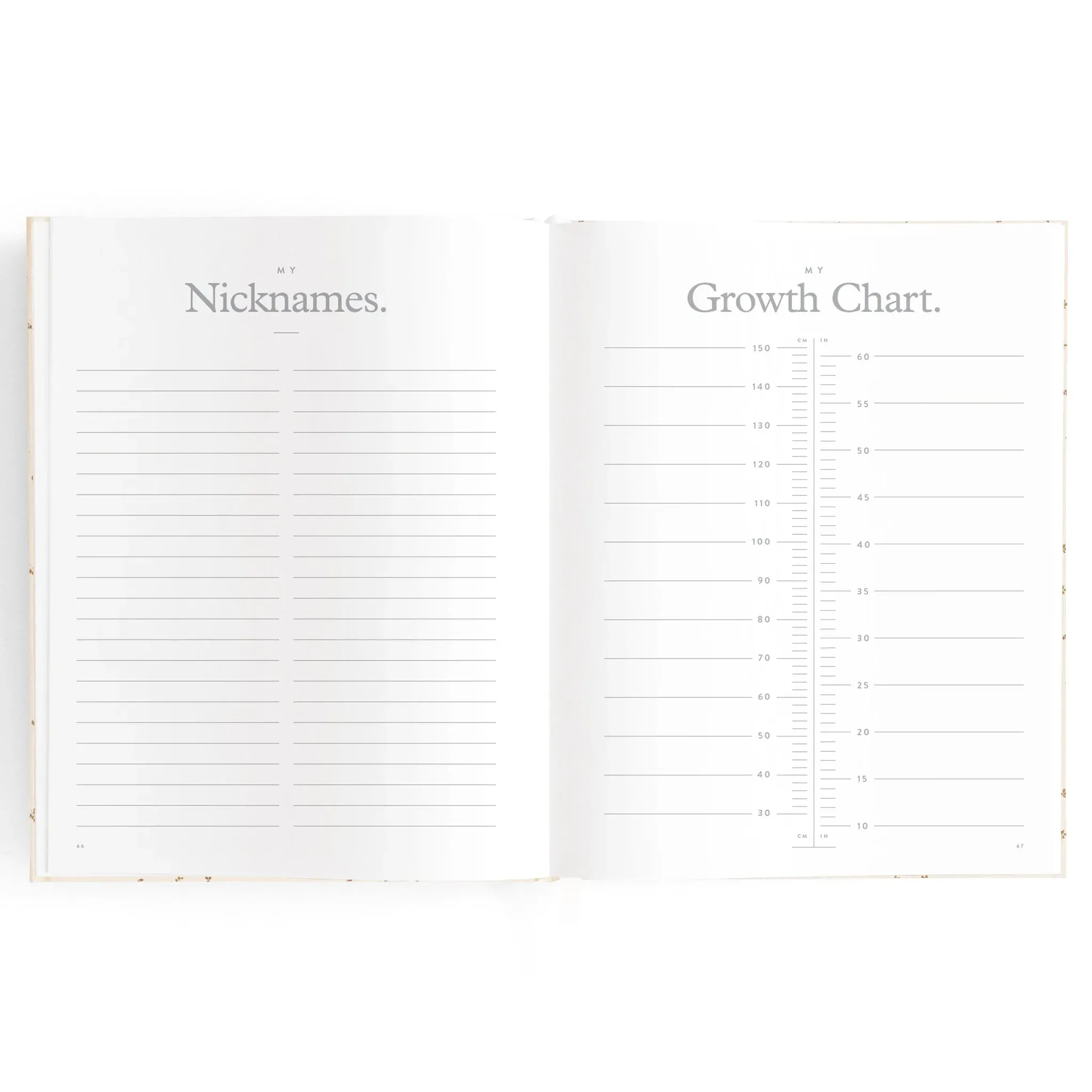 Fox & Fallow Baby Record Book - Pistachio