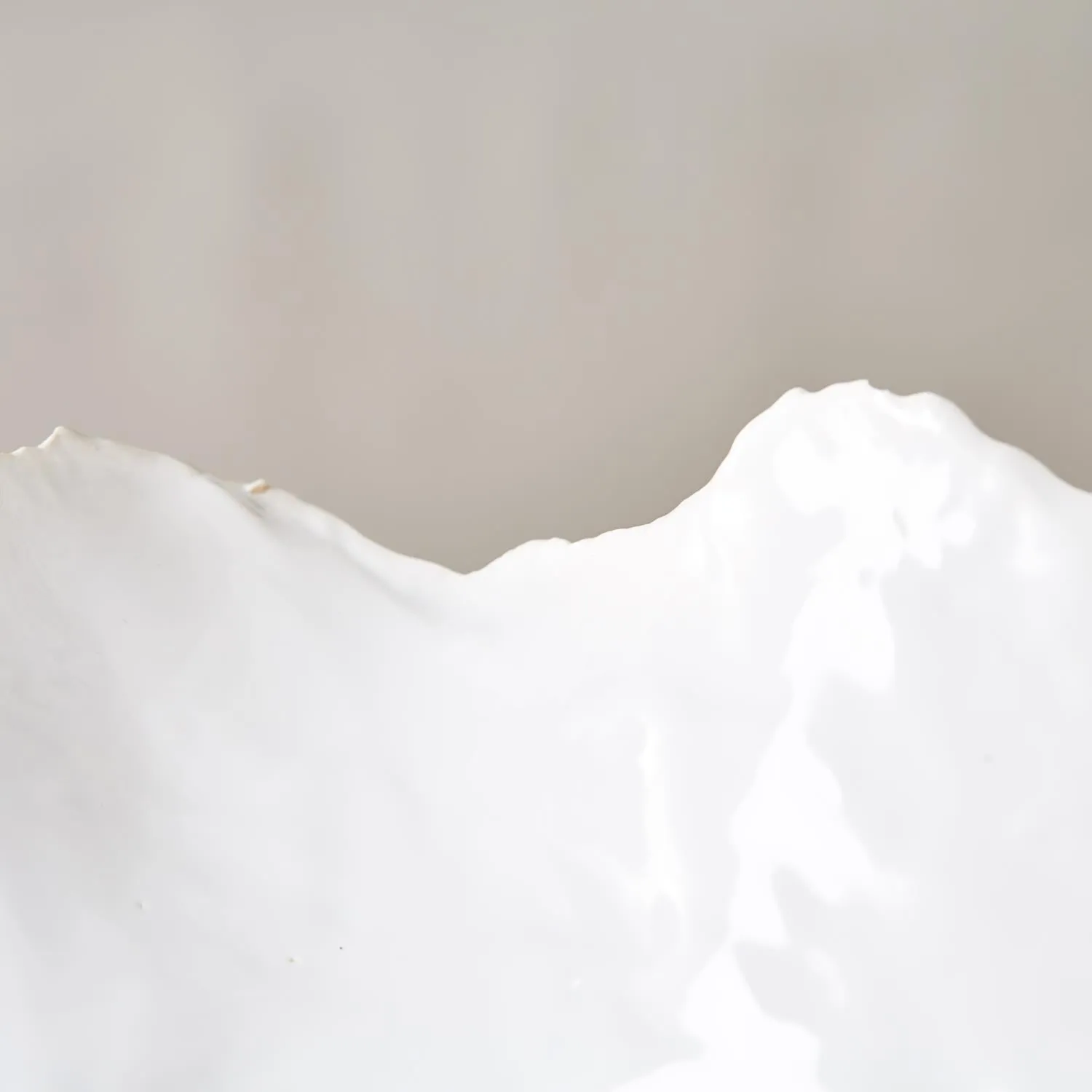 Free Form Ceramic Bowls (Two Sizes)