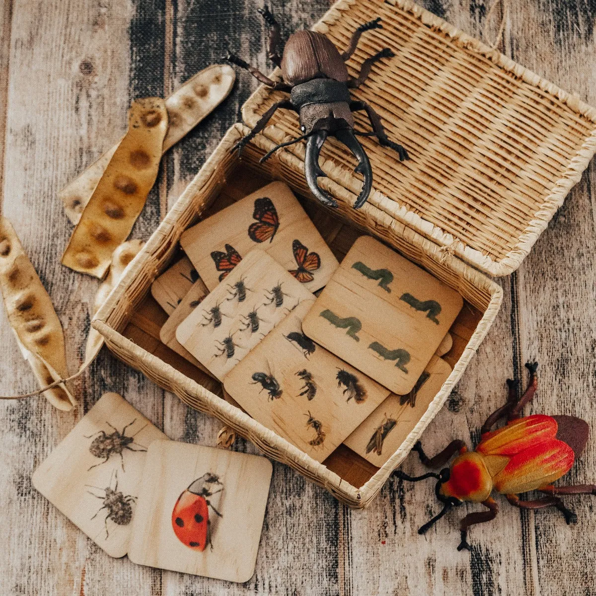 Garden Bug Picture Tiles - 12Pcs