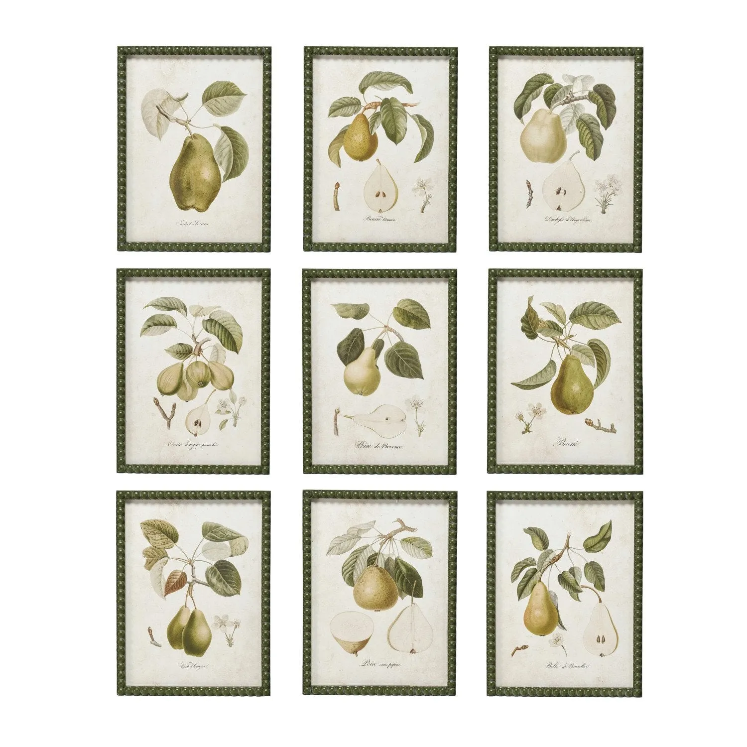 Hobnail Pear Prints