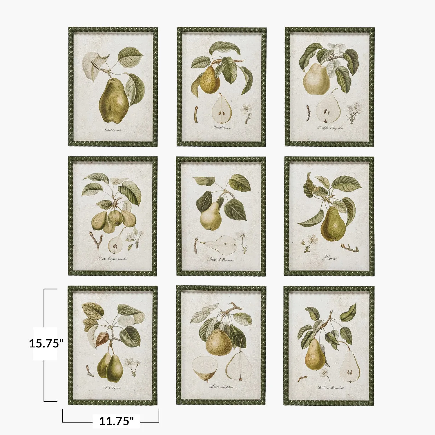 Hobnail Pear Prints
