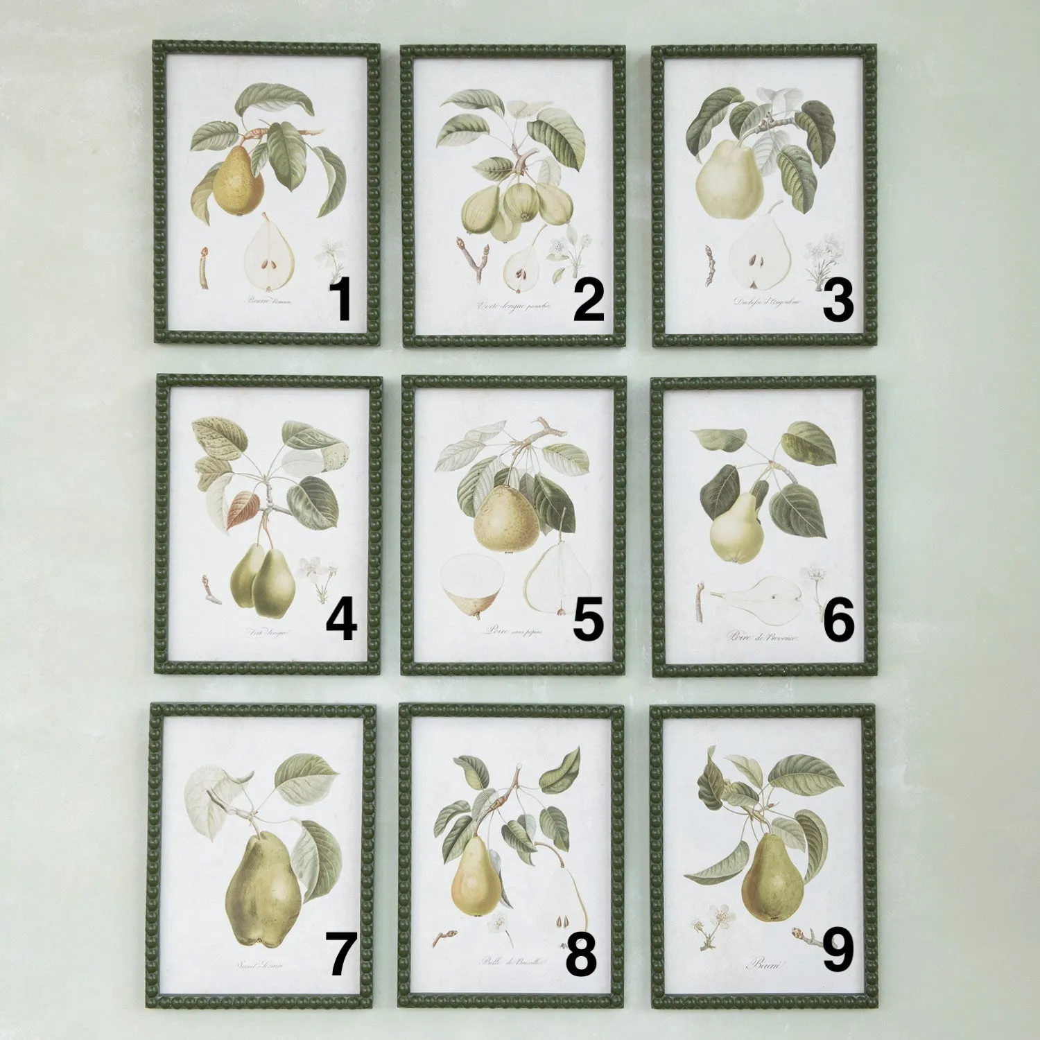 Hobnail Pear Prints