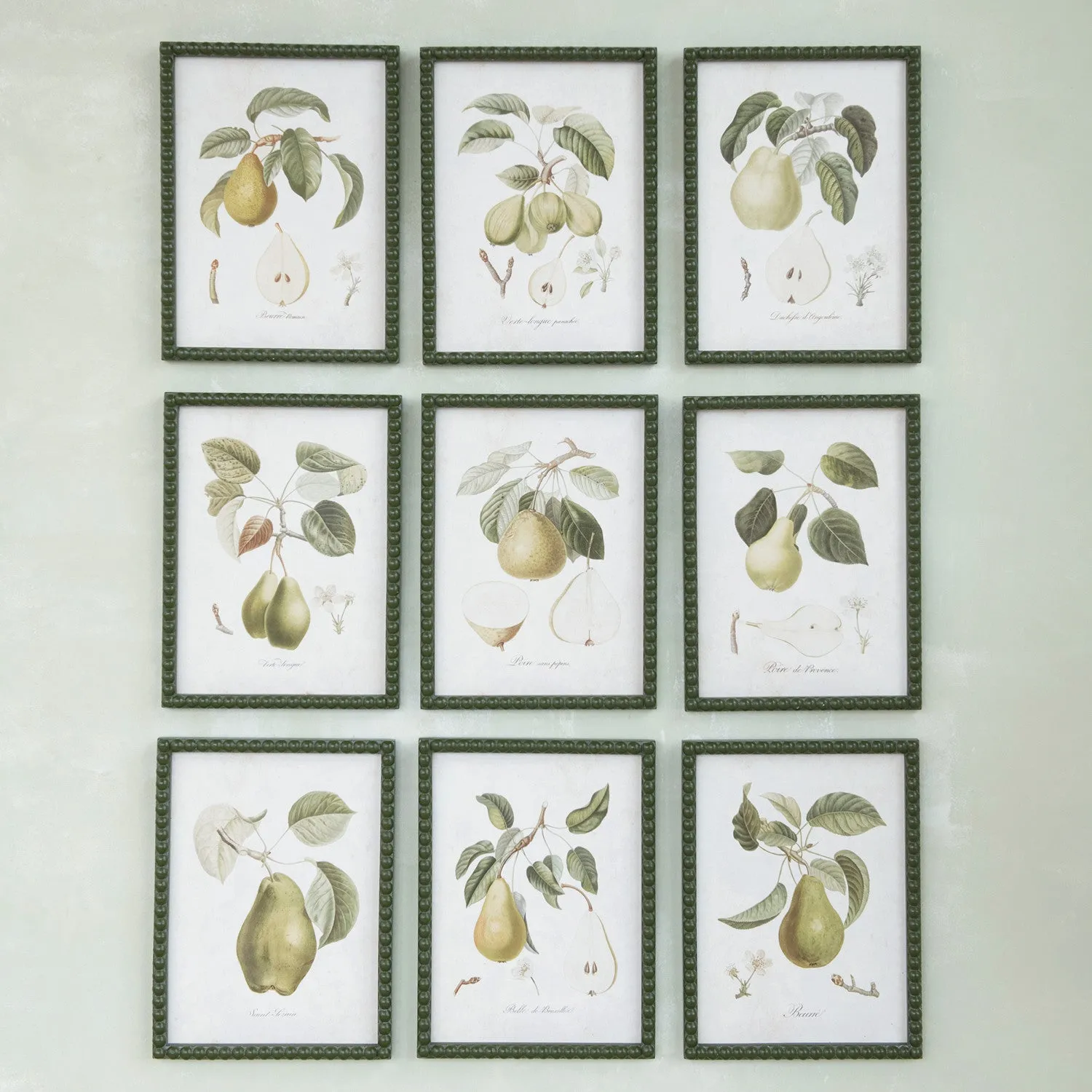 Hobnail Pear Prints