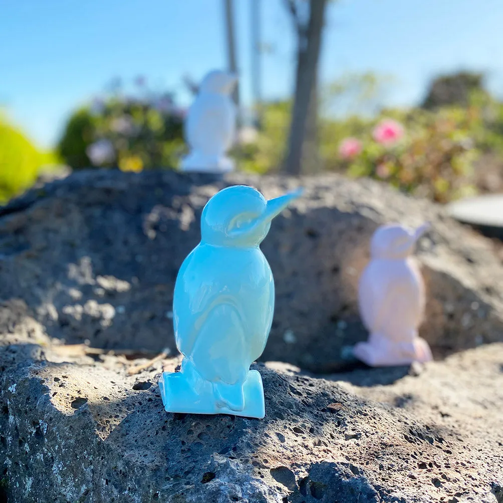 Kotare/Kingfisher on log // Mint