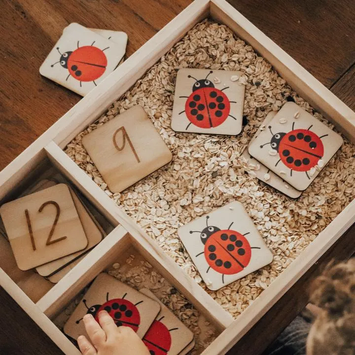 Lady Bug Picture & Number Tiles - 24 Pieces