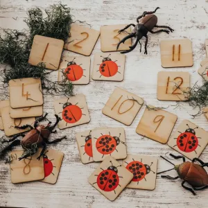 Lady Bug Picture & Number Tiles - 24 Pieces