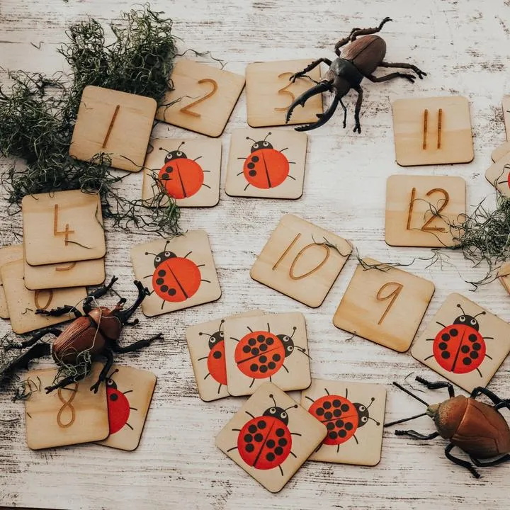 Lady Bug Picture & Number Tiles - 24 Pieces