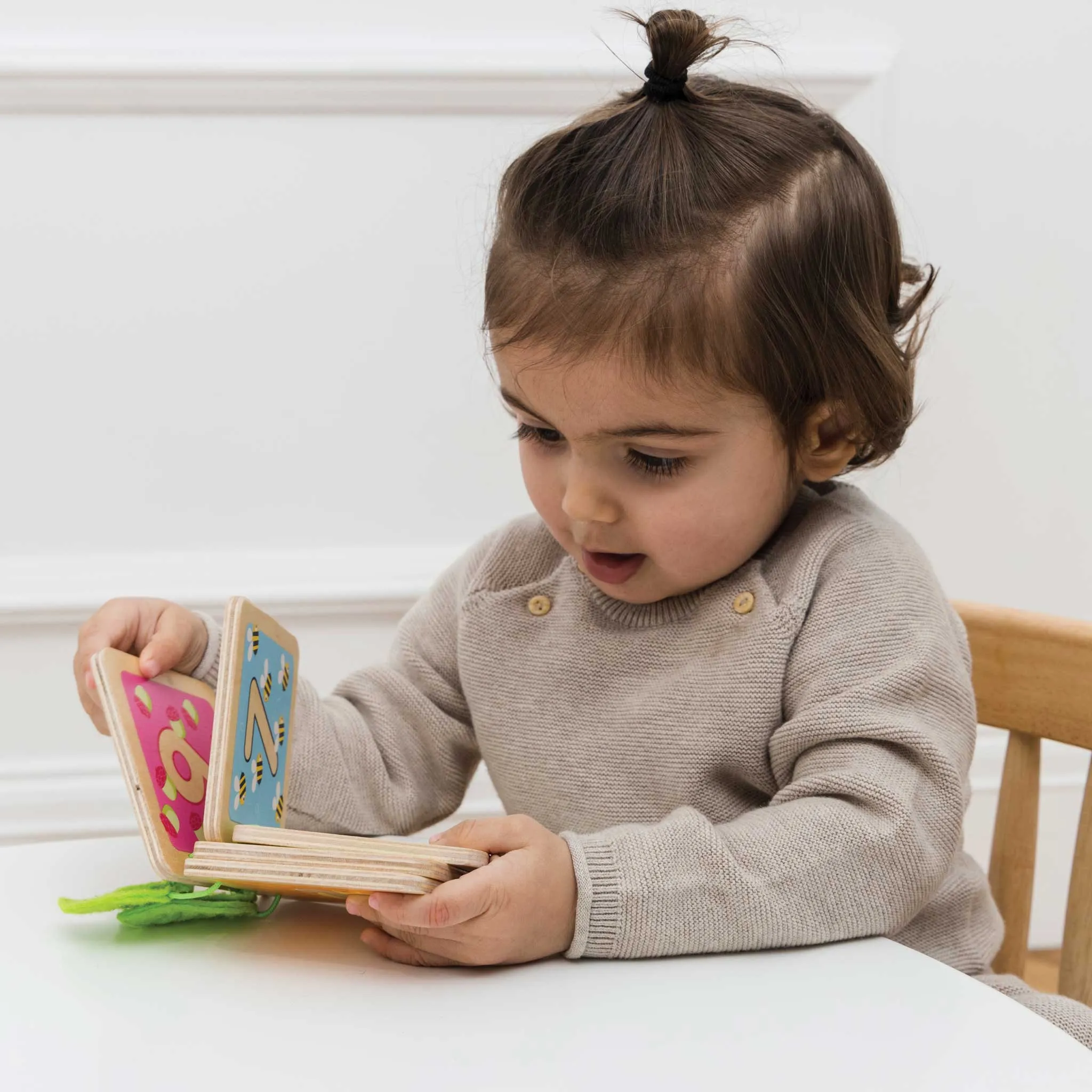 My 1st Counting Book