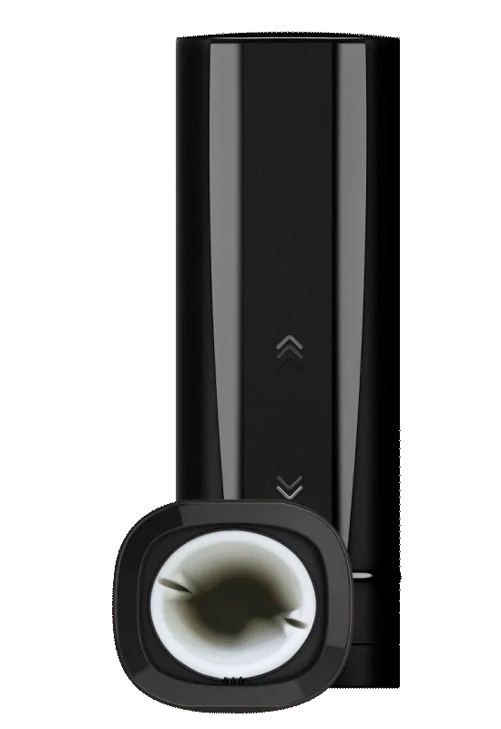 Onyx  FeelPornStar Experience