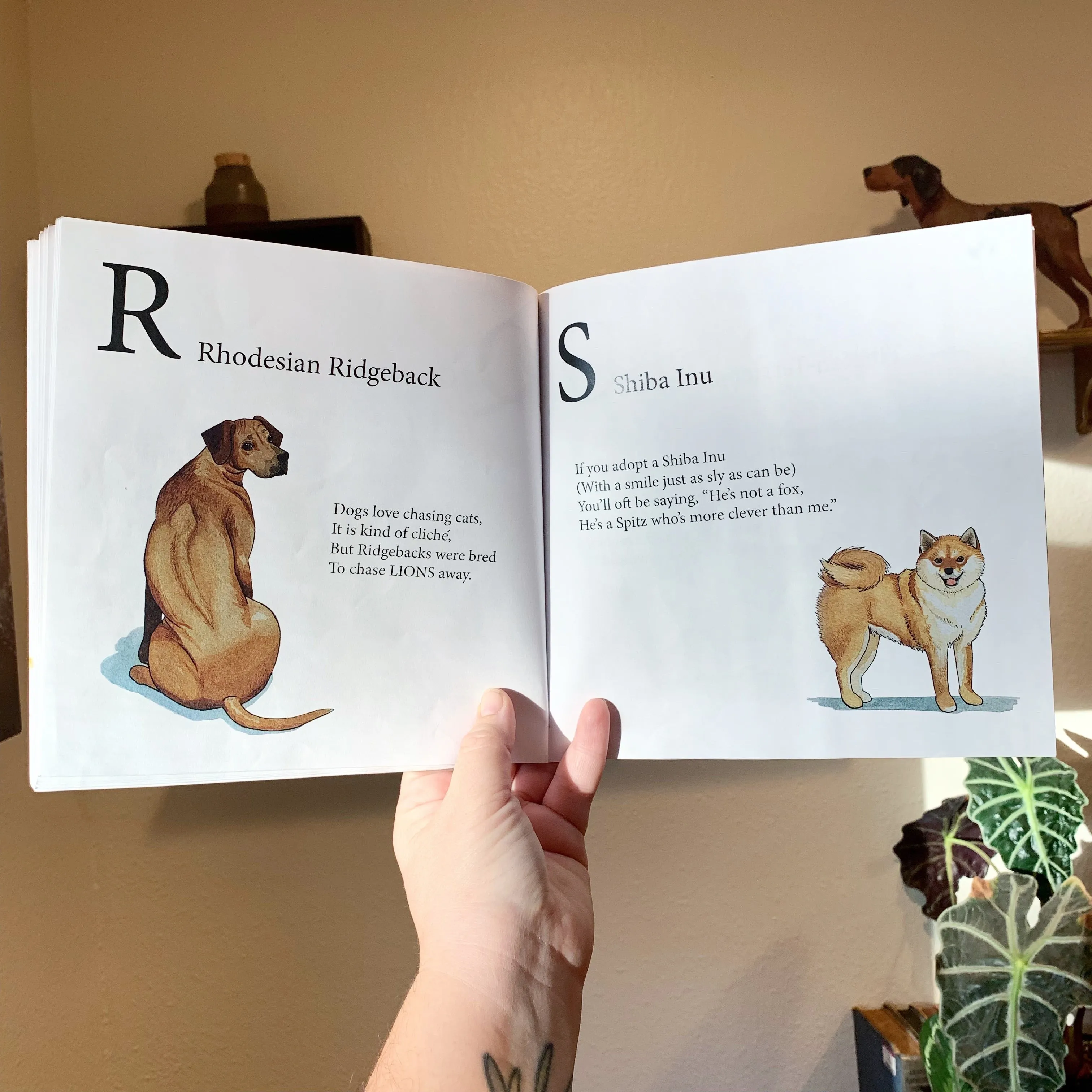 Paperback, Signed Copy, DOGGOS A to Z, A Pithy Guide to 26 Dog Breeds, SOFT COVER BOOK, FREE SHIPPING