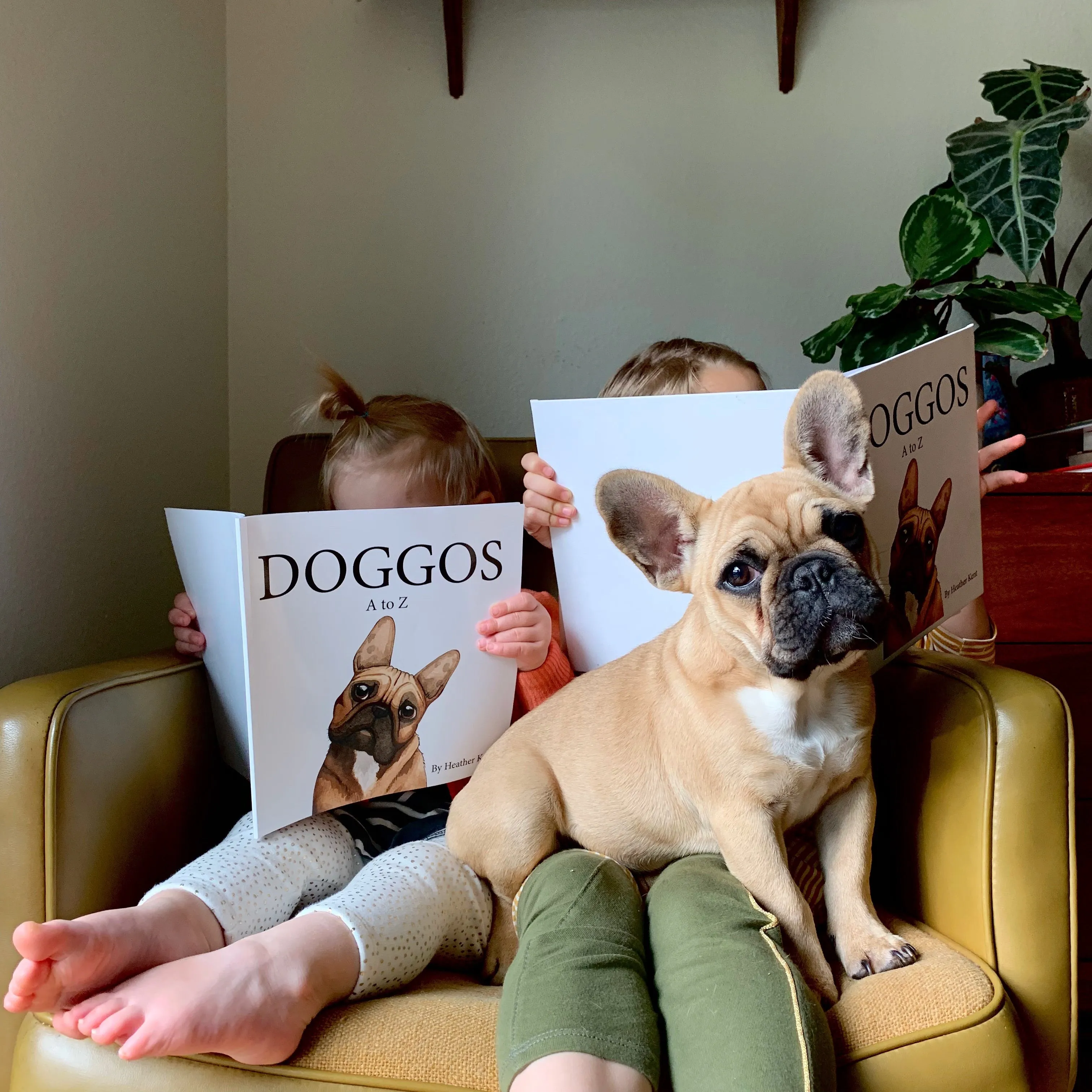 Paperback, Signed Copy, DOGGOS A to Z, A Pithy Guide to 26 Dog Breeds, SOFT COVER BOOK, FREE SHIPPING