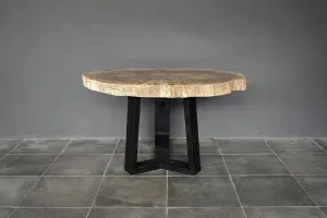Petrified Wood Coffee Table