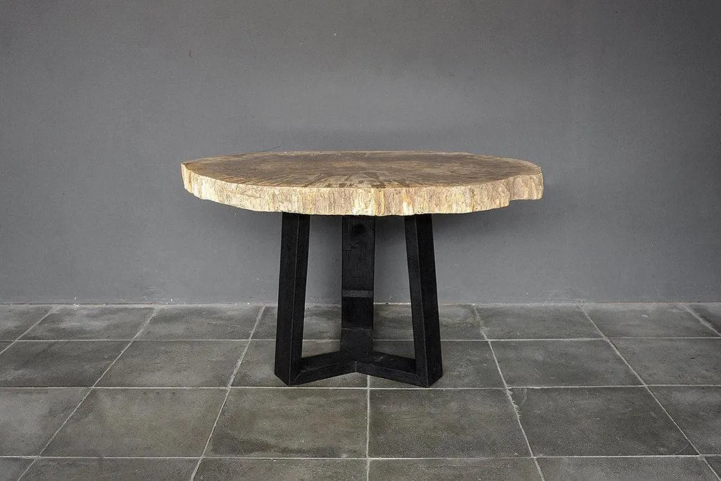 Petrified Wood Coffee Table