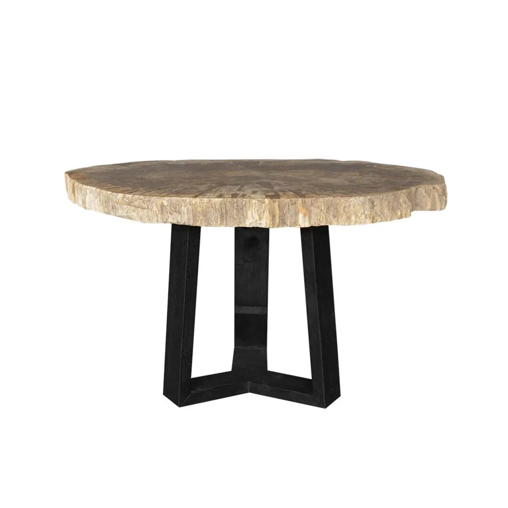 Petrified Wood Coffee Table
