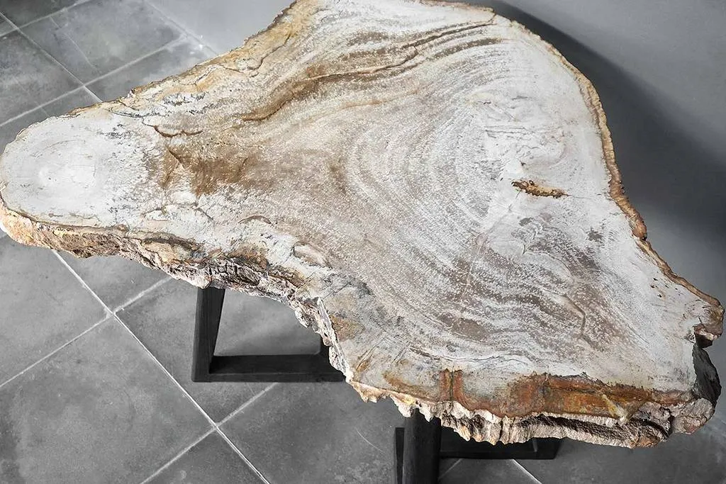 Petrified Wood Coffee Table