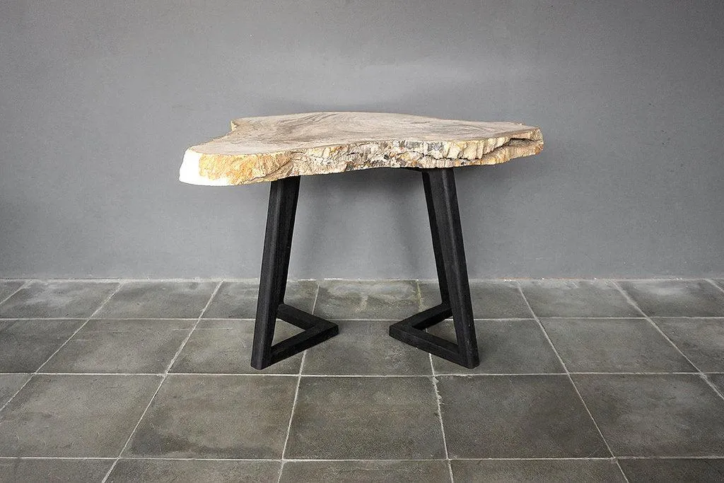 Petrified Wood Coffee Table
