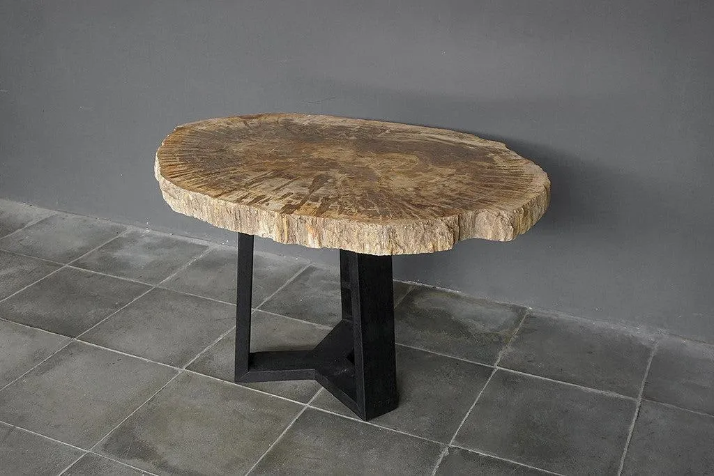 Petrified Wood Coffee Table