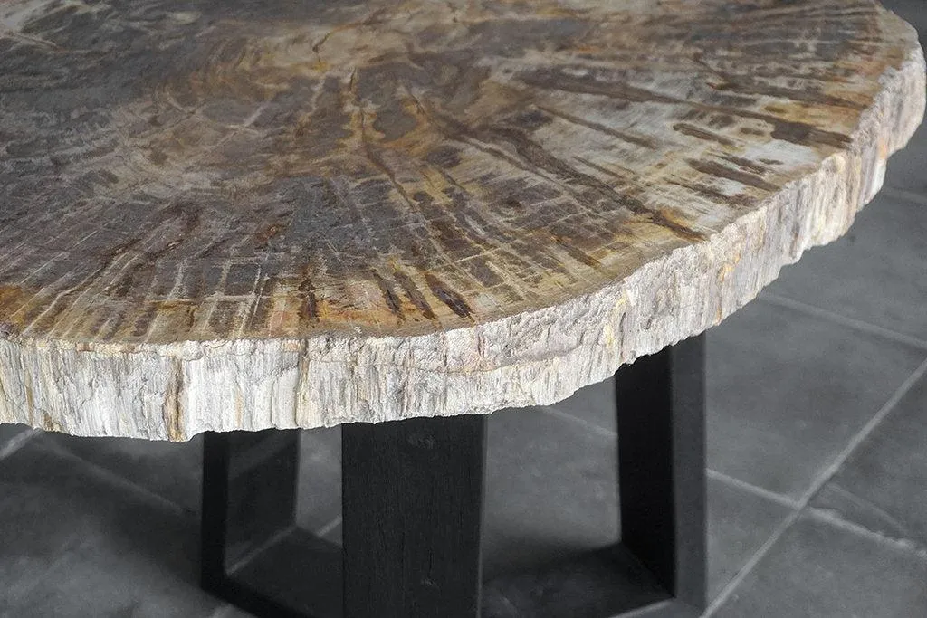 Petrified Wood Coffee Table