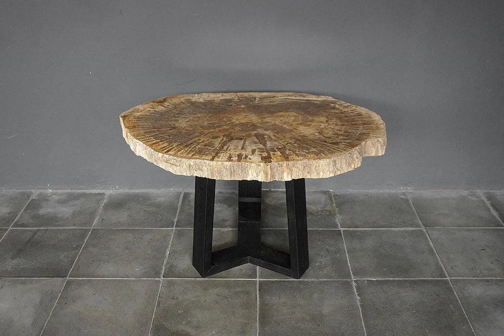 Petrified Wood Coffee Table