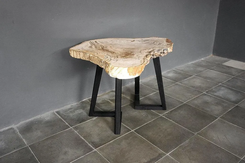 Petrified Wood Coffee Table