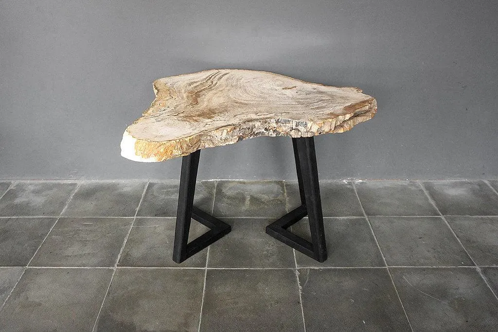 Petrified Wood Coffee Table