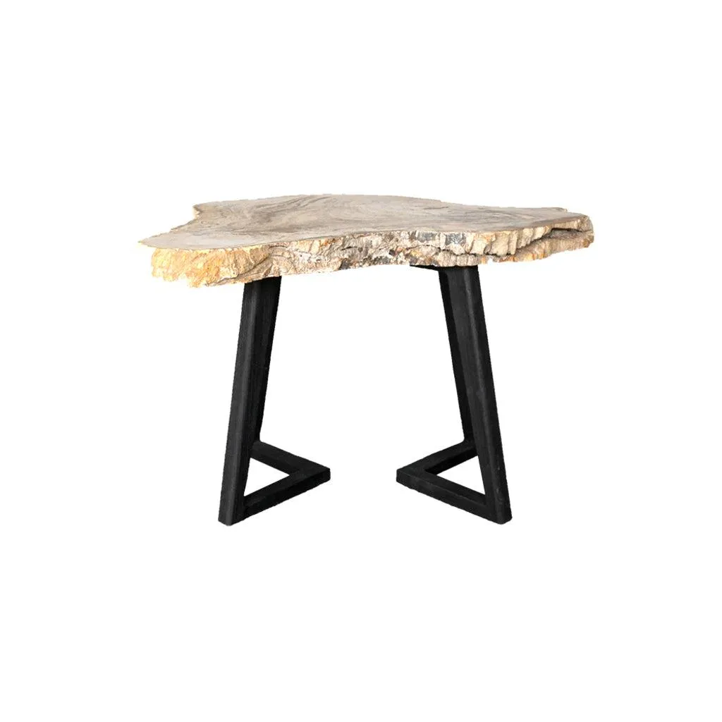 Petrified Wood Coffee Table