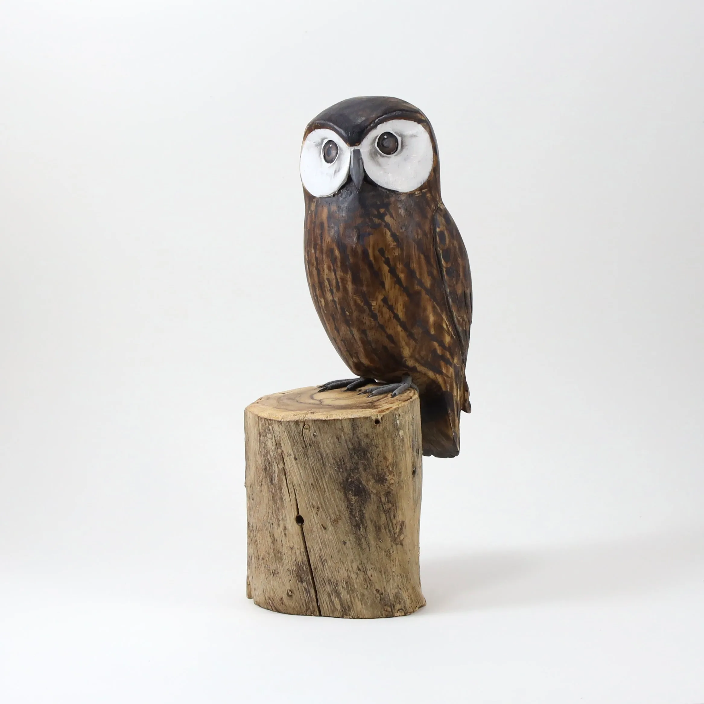 Saw Whet Owl in Wood